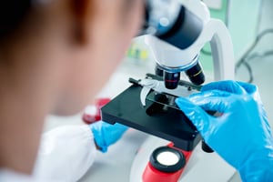 GettyImages-2163194541 (2)